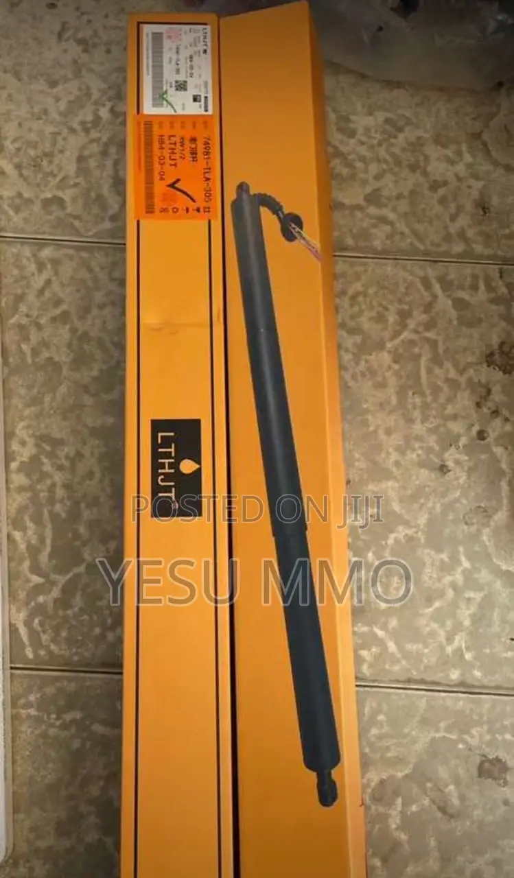 Rav4 2018 Boot Shocks