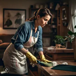 Part-Time(Early-Morning) Cleaners