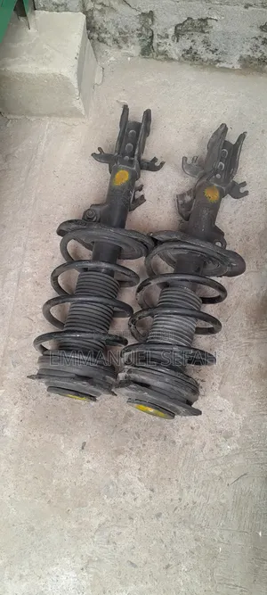 Nessie Sentra 2015,2023 Front Shock Absorber