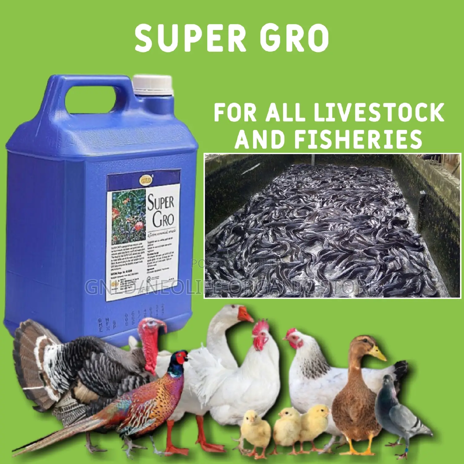 Supergro For Plants, Lawns Garden, Fishery & All Livestock!