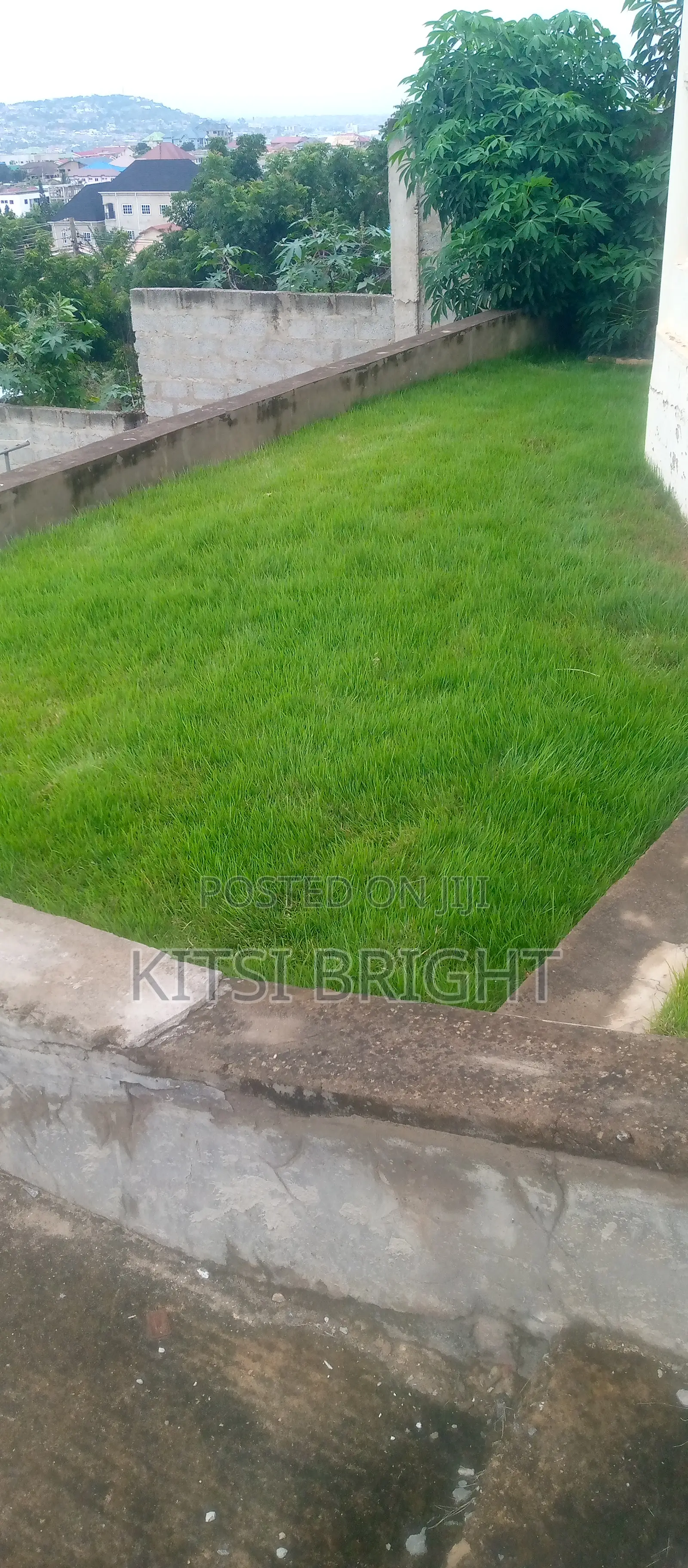 Gardening Services, I Weed, Plant and Decorate Your Garden