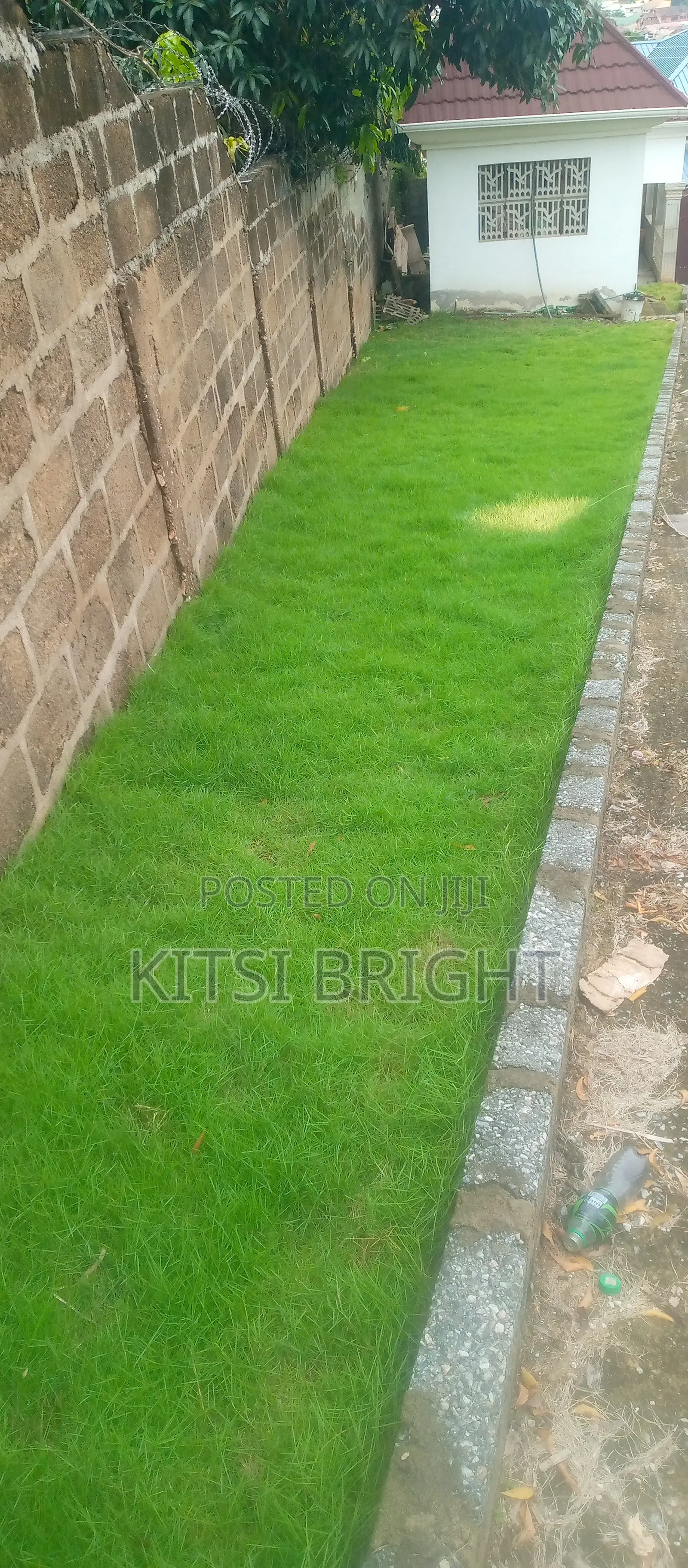 Gardening Services, I Weed, Plant and Decorate Your Garden