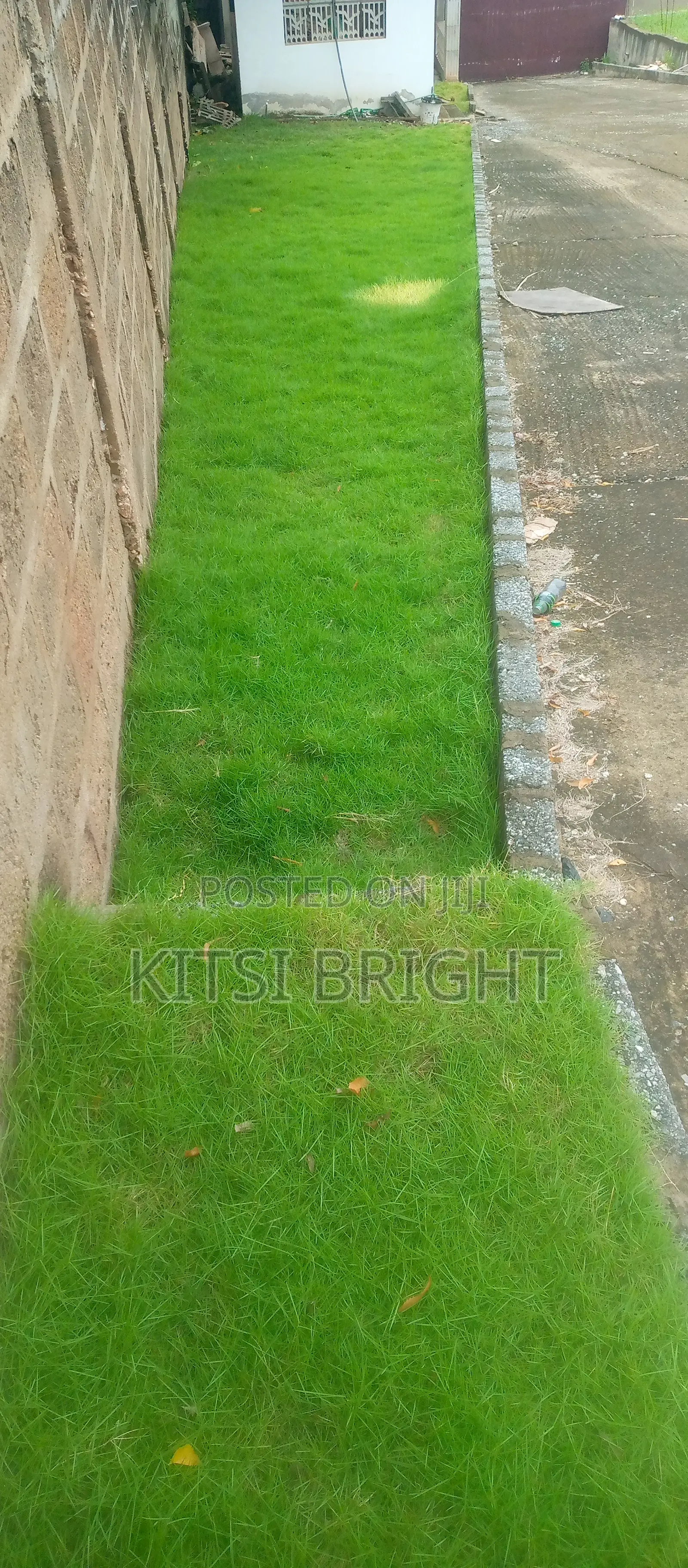 Gardening Services, I Weed, Plant and Decorate Your Garden