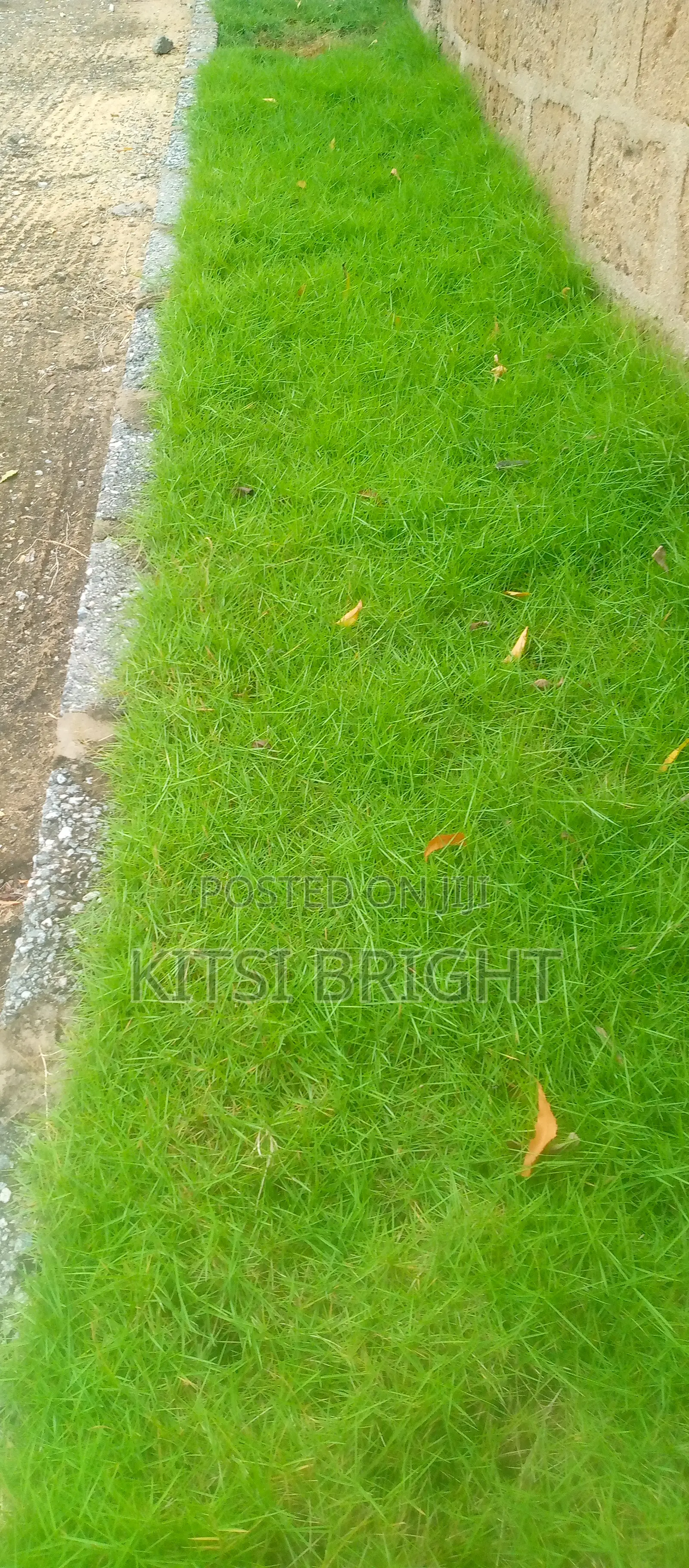 Gardening Services, I Weed, Plant and Decorate Your Garden