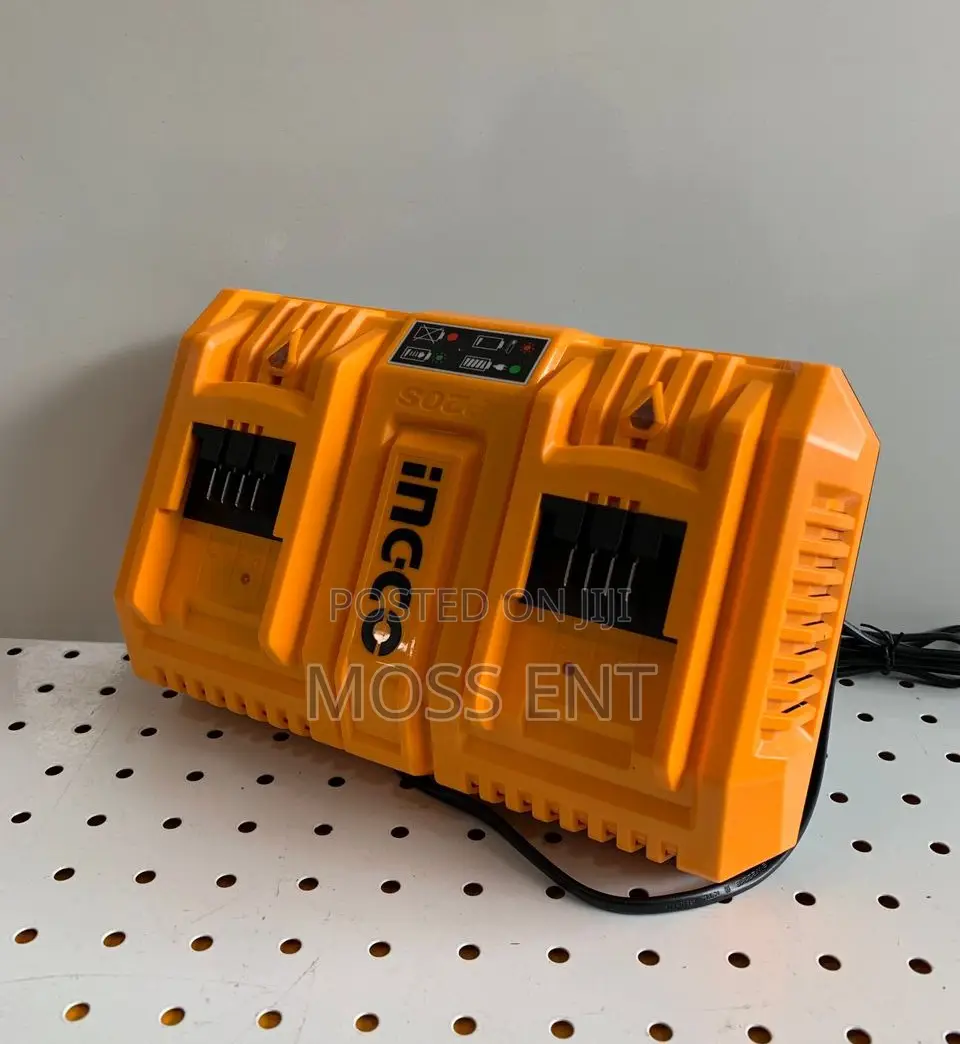 Ingco P20s 2-Port Lithium-Ion Battery Charger - Fcli2082