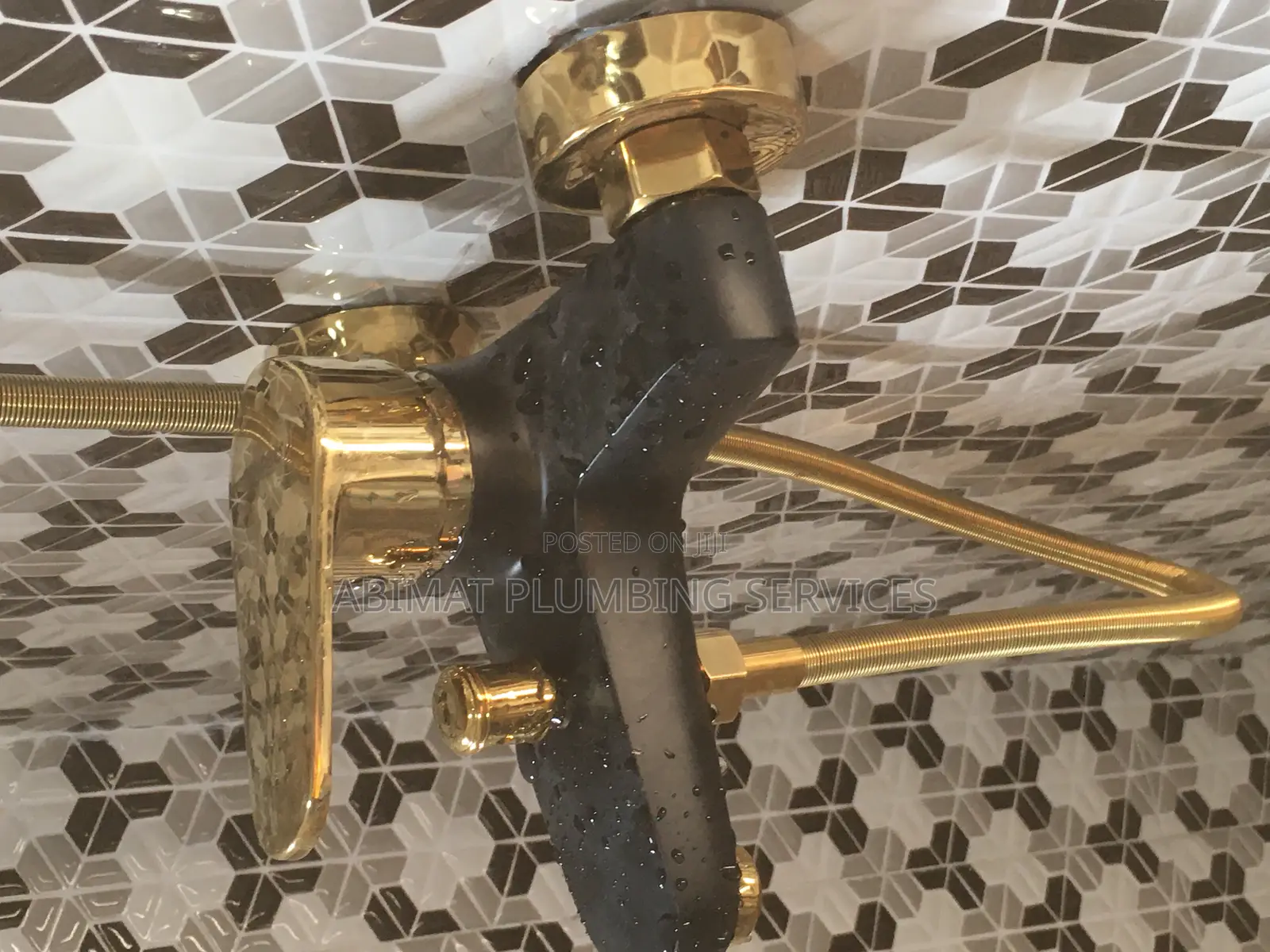Professional Plumber (Certified