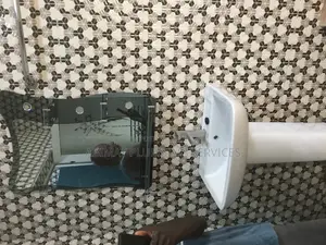 Professional Plumber (Certified