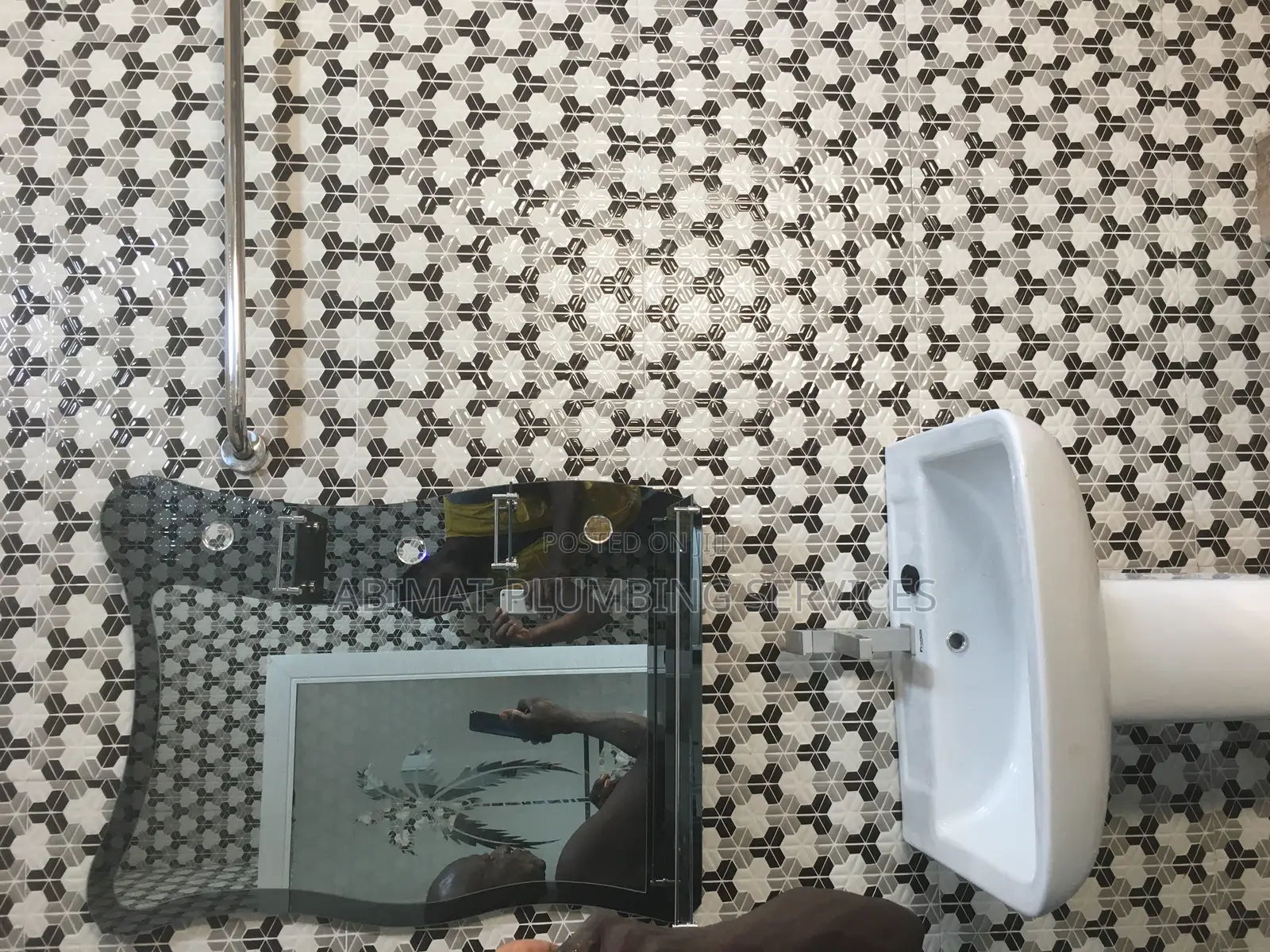 Professional Plumber (Certified