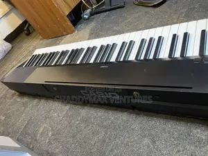 Casio CDP 100 Digital Piano