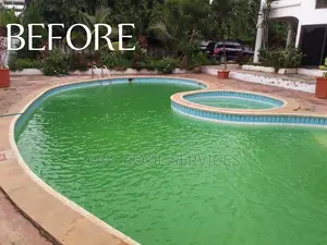 Cleaning and Maintenance of Swimming Pool