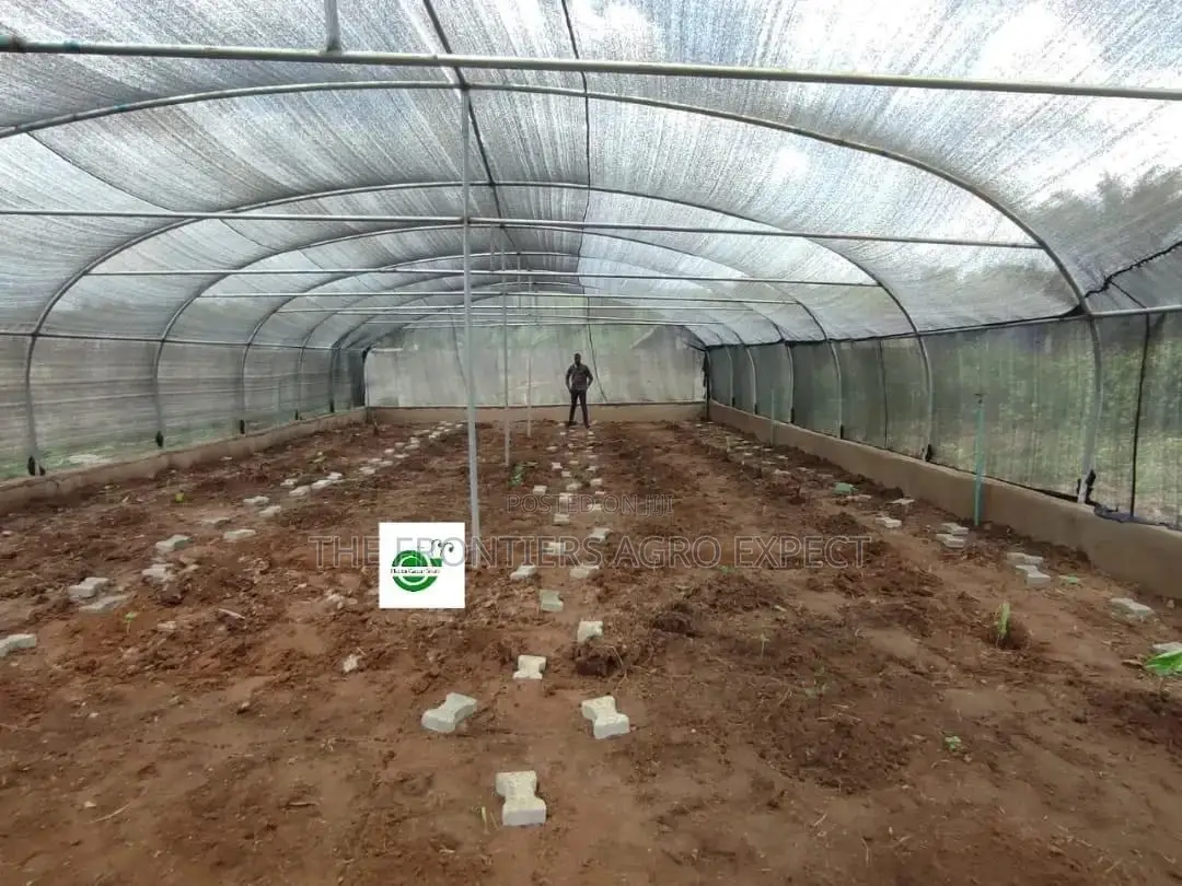 Commercial Snails Greenhouse