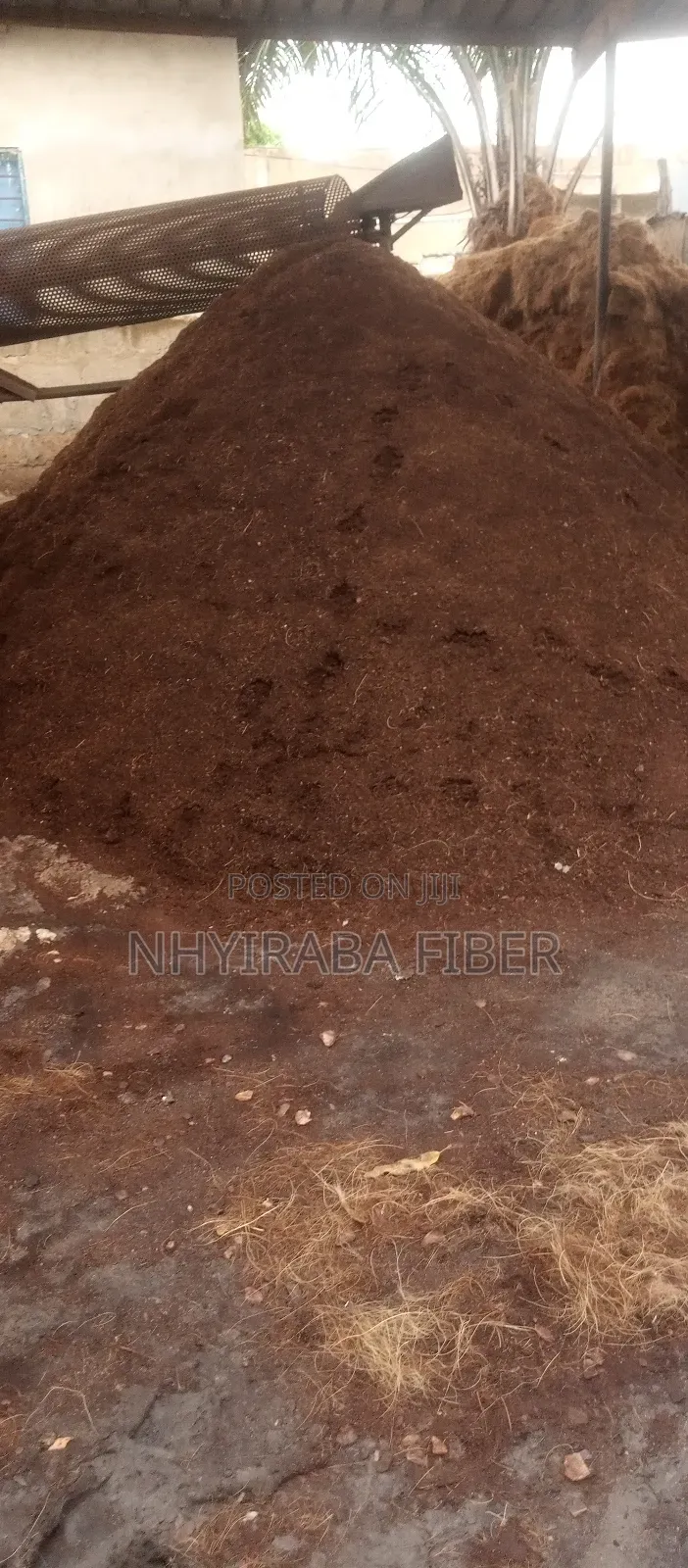 Cocopeat Medium/Media for Sale