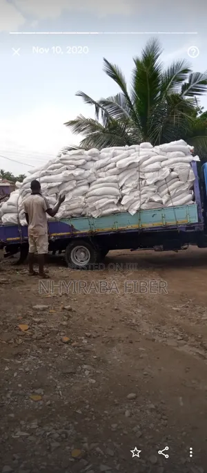 Cocopeat Medium/Media for Sale