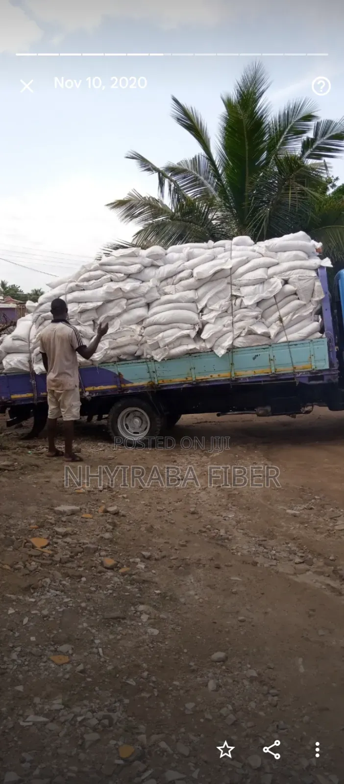 Cocopeat Medium/Media for Sale