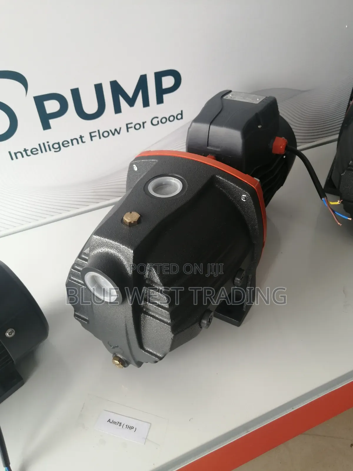 Leo Water Pump 1 Horsepower Cast