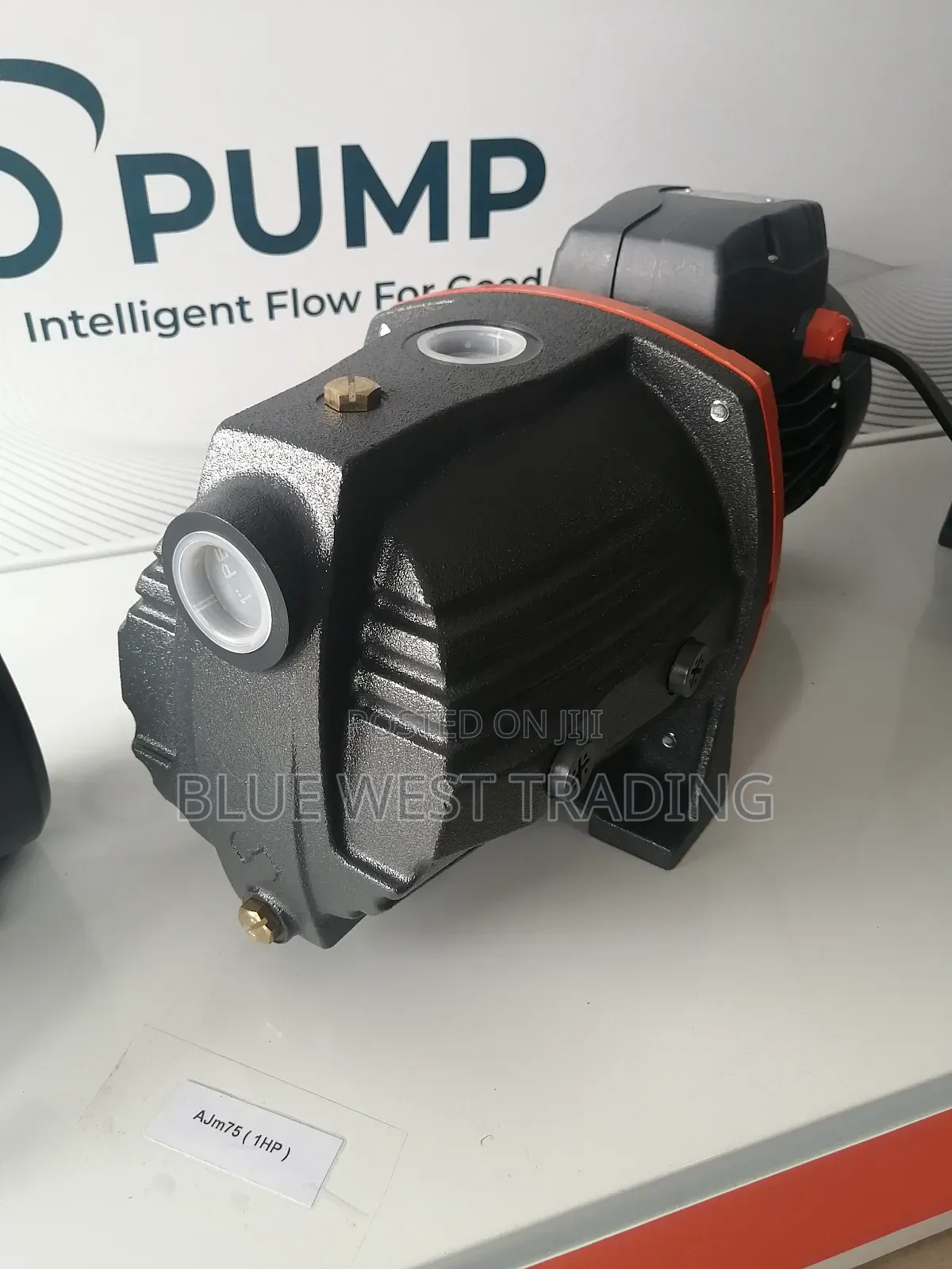 Leo Water Pump 1 Horsepower Cast
