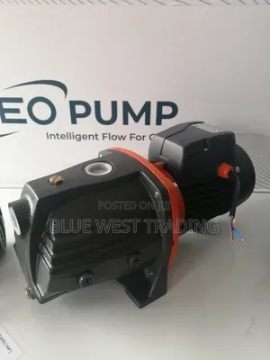 Leo Water Pump 1 Horsepower Cast