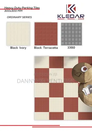 Indian 30/30 Compound Floor Tiles