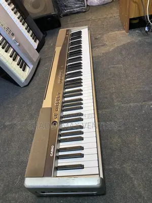Casio Privia Px 100 Digital Piano