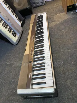 Casio Privia Px 100 Digital Piano