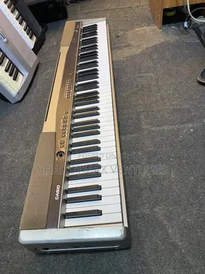Casio Privia Px 100 Digital Piano