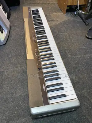 Casio Privia Px 100 Digital Piano