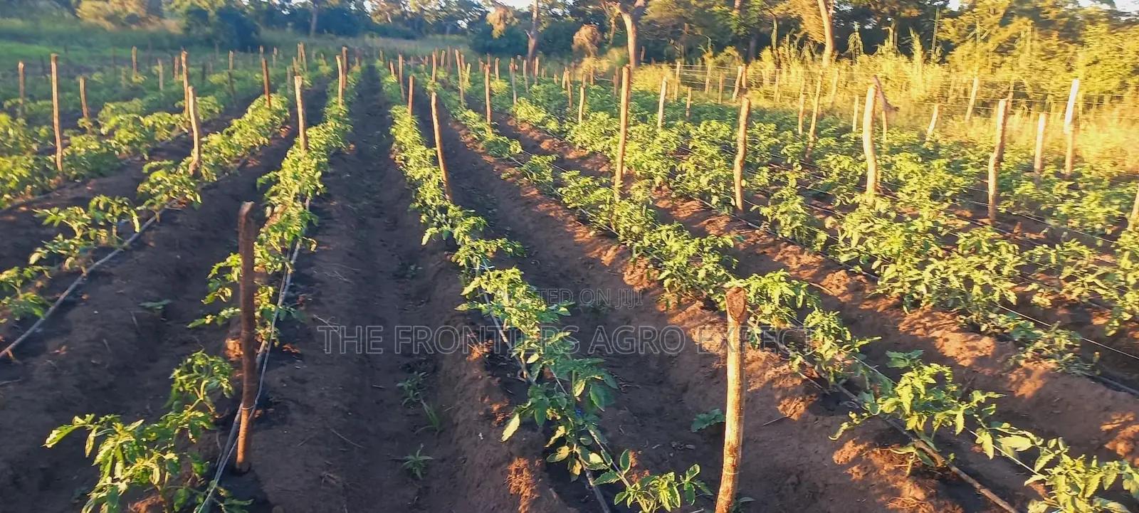 Irrigation Installation and Technology Service Provider