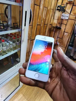 Apple iPhone 5s 16 GB Silver