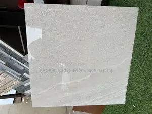 India Porcelain Tiles (60/60) Polished