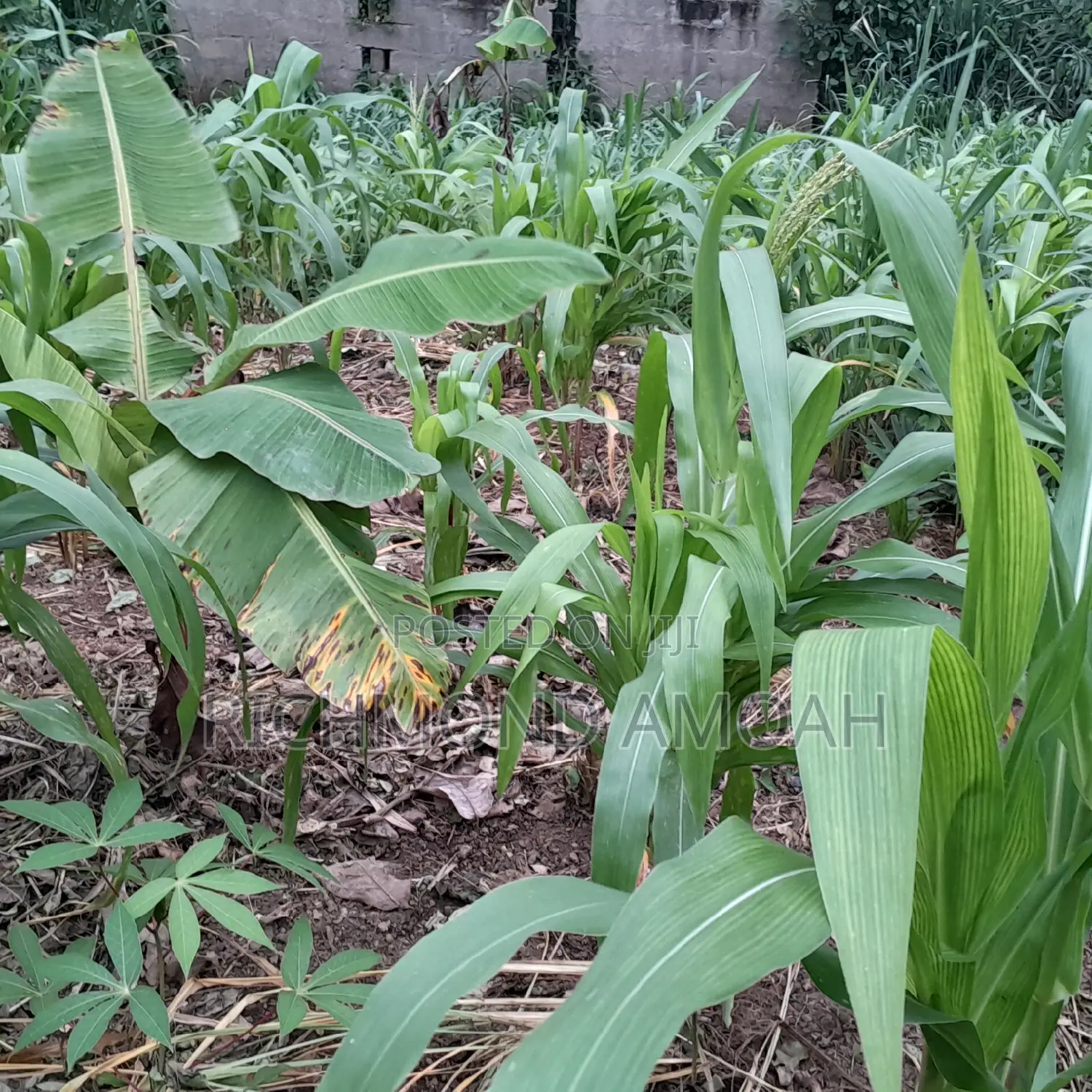 Plot for Sale at Adientem Dr Tawiah