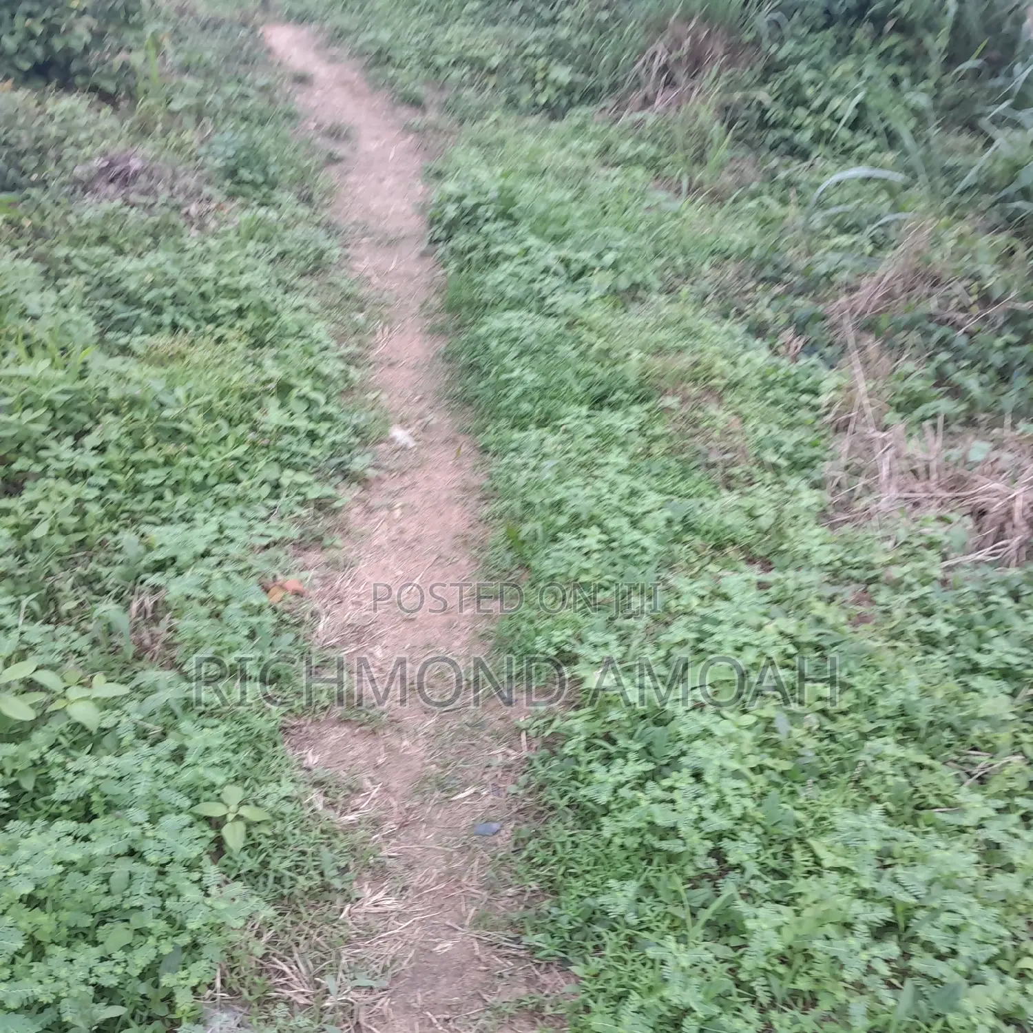 Plot for Sale at VRA DEPEE