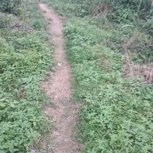 Plot for Sale at VRA DEPEE