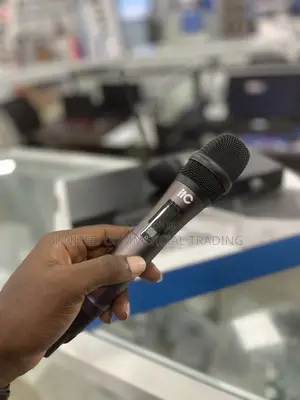 Professional Wireless Microphone