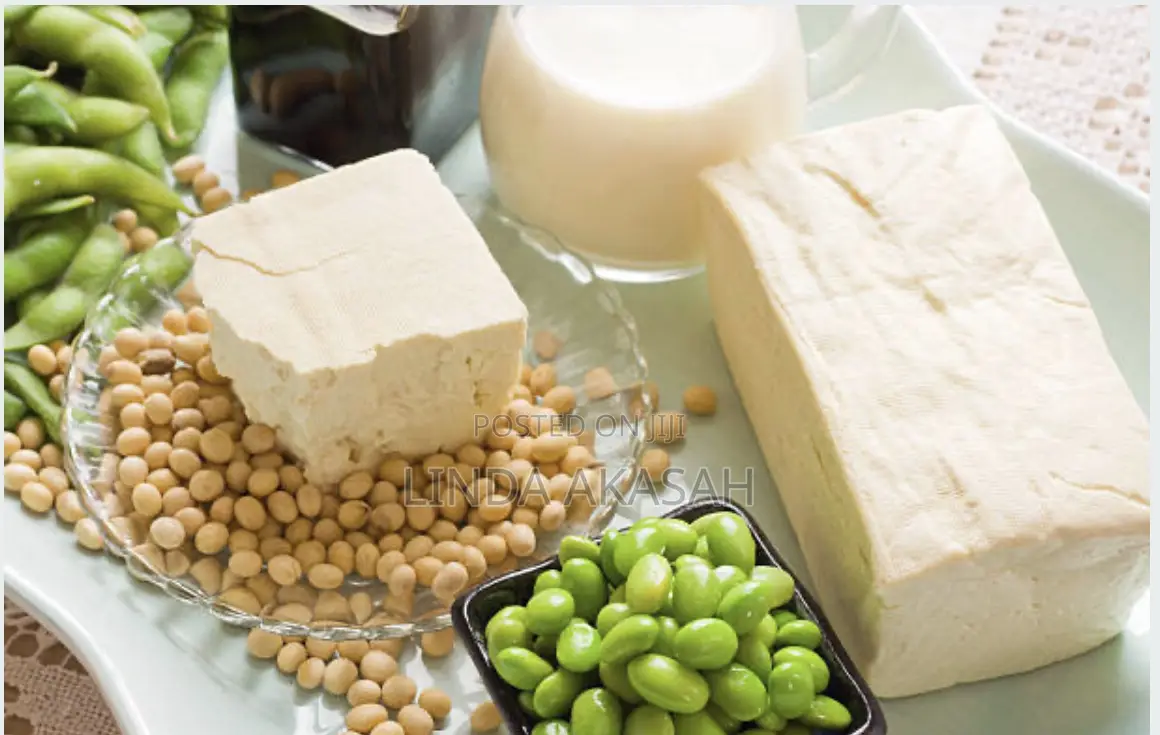 Natural Tofu and Soya Kebab