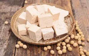 Natural Tofu and Soya Kebab