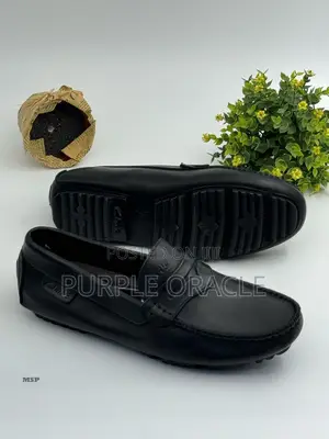 Clarks Purely Leather Loafers for Him.