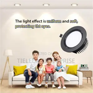 Forester Ceiling Black Body