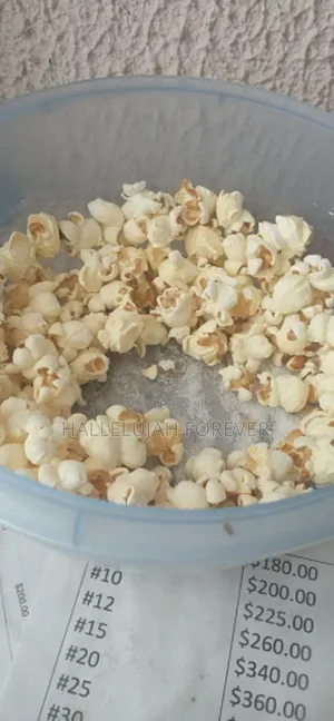 Mini Popcorn Machine