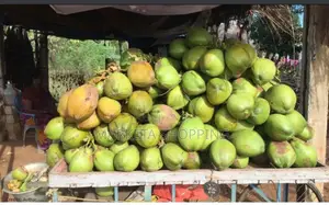 Fresh Coconut