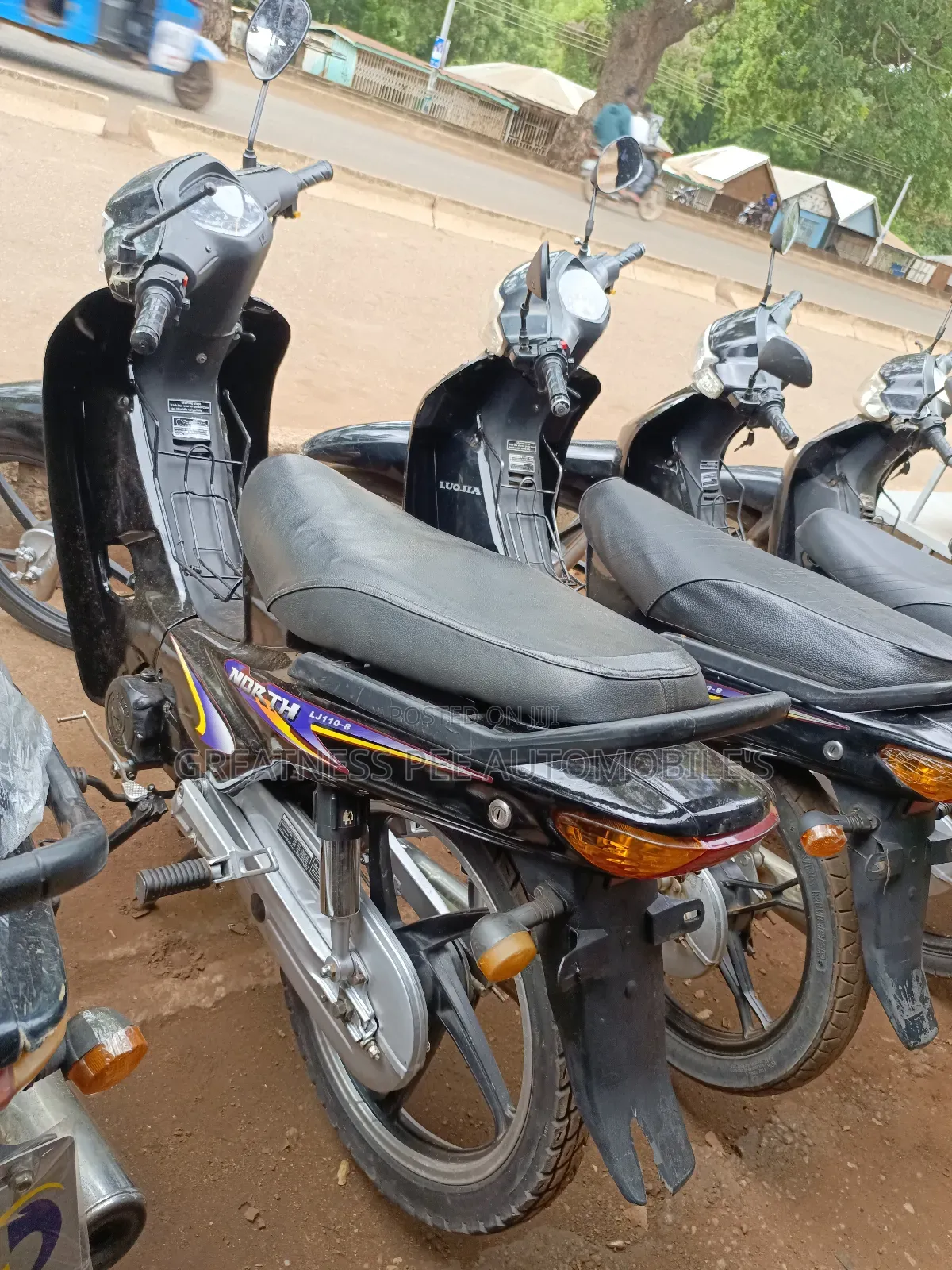 Luojia 110cc 2017