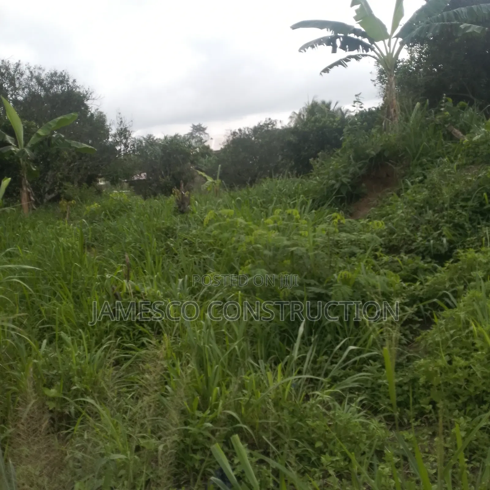 Farm Land for Sale