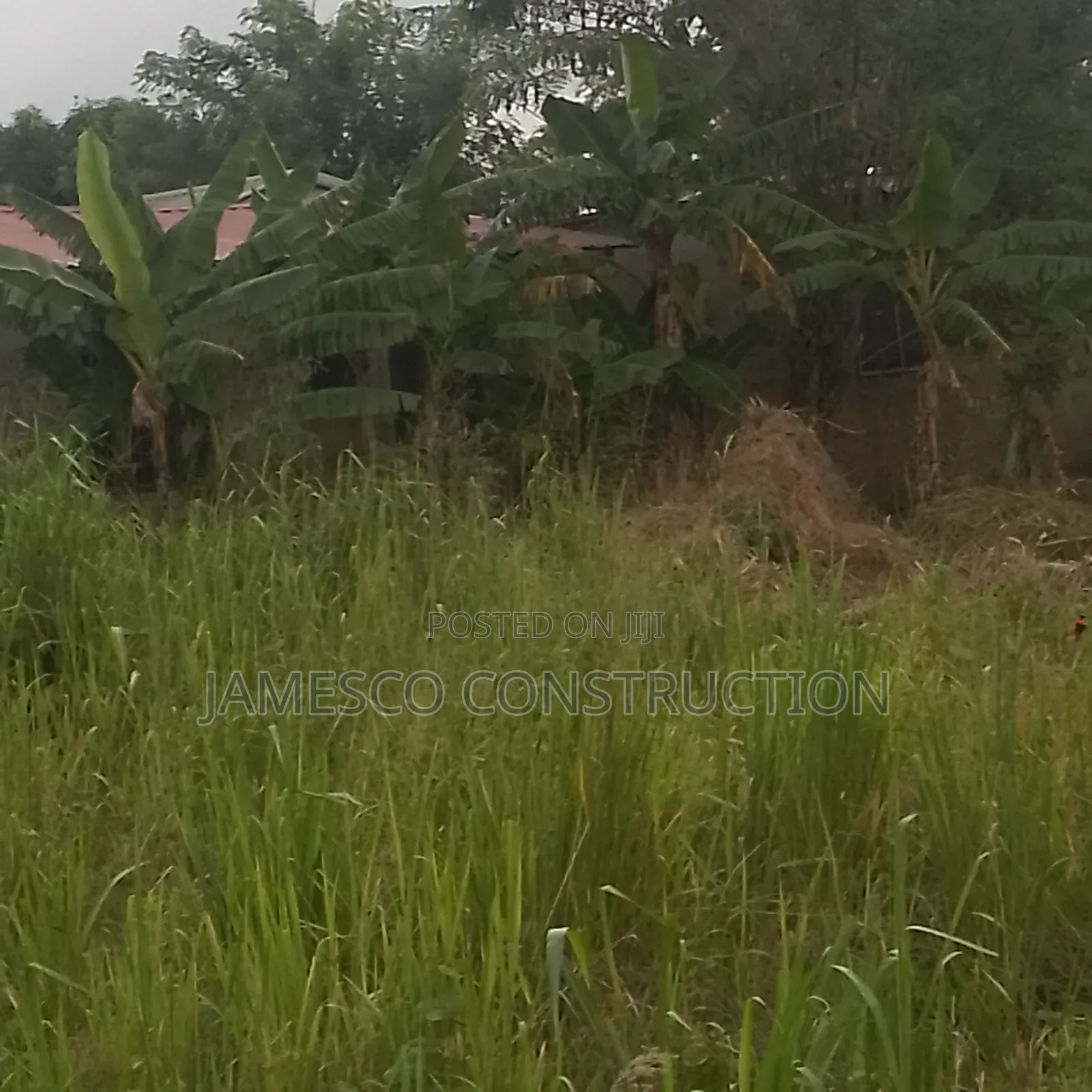 Farm Land for Sale