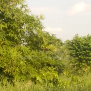 Farm Land for Sale
