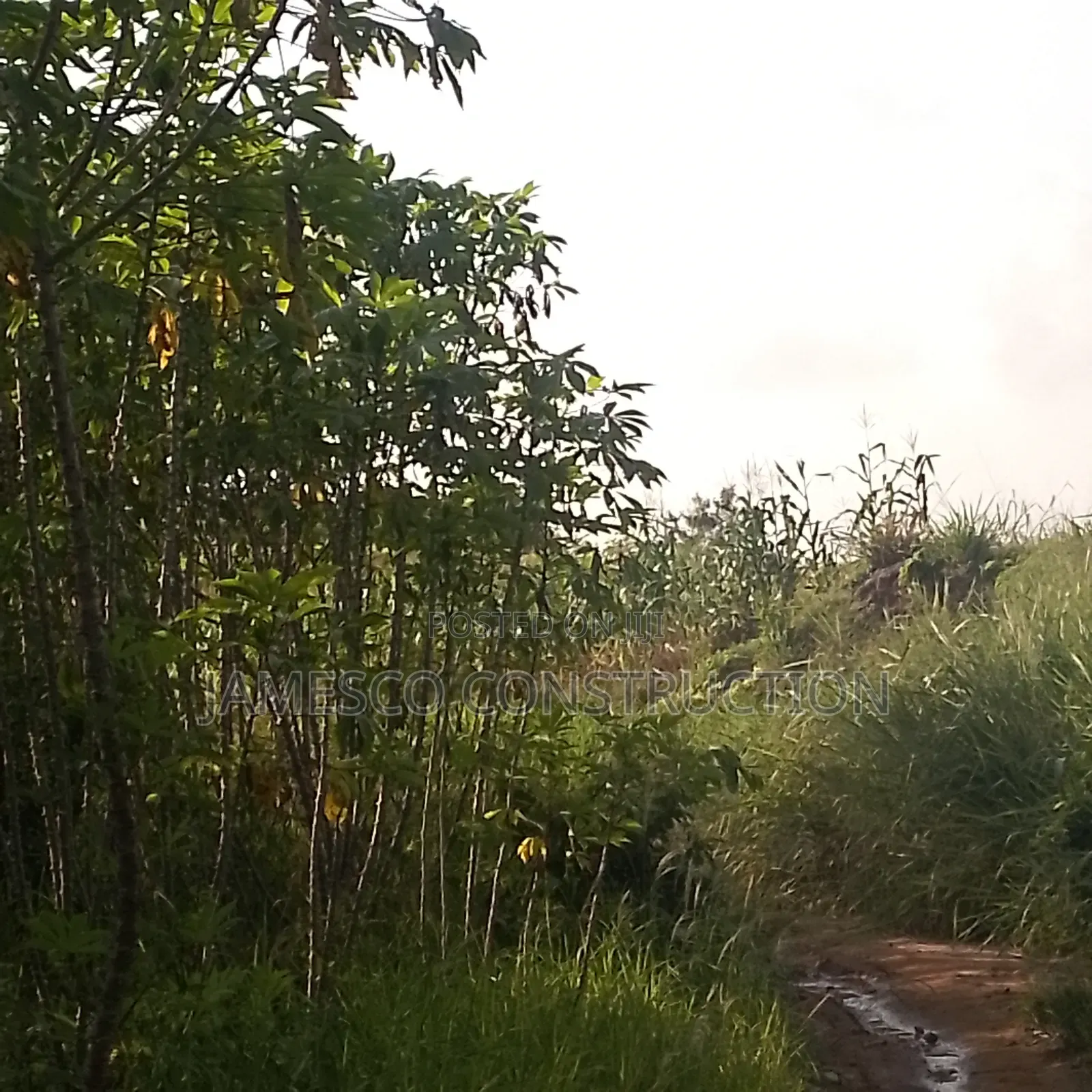 Farm Land for Sale
