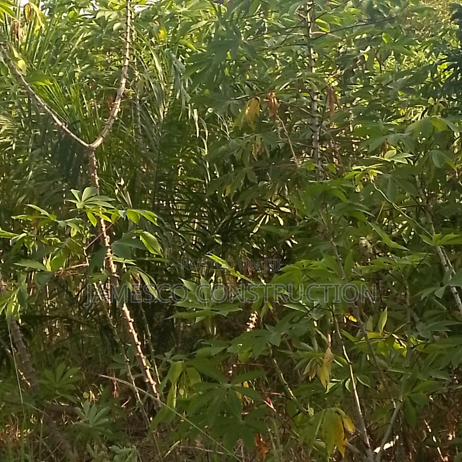 Farm Land for Sale