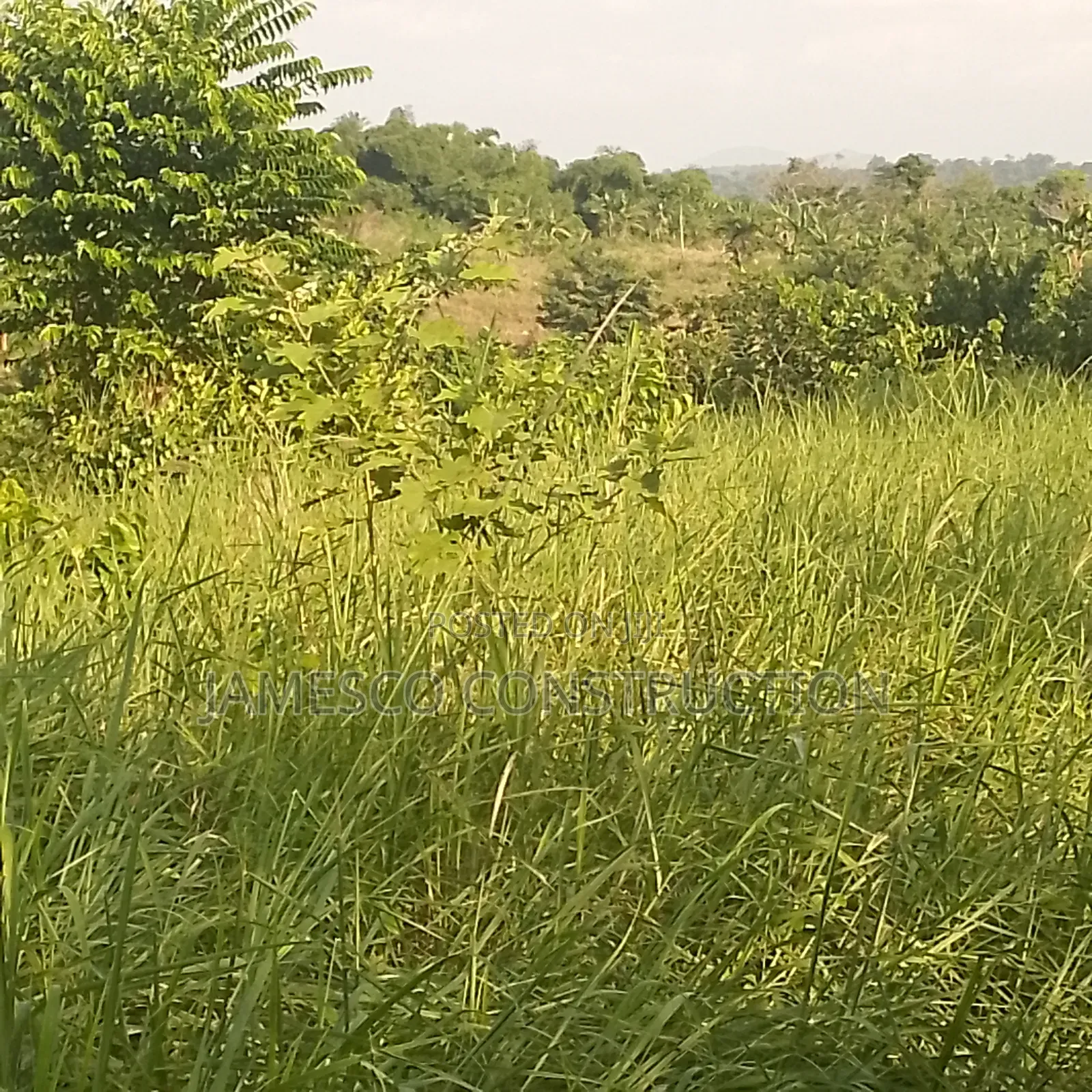 Farm Land for Sale