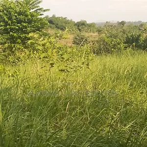 Farm Land for Sale