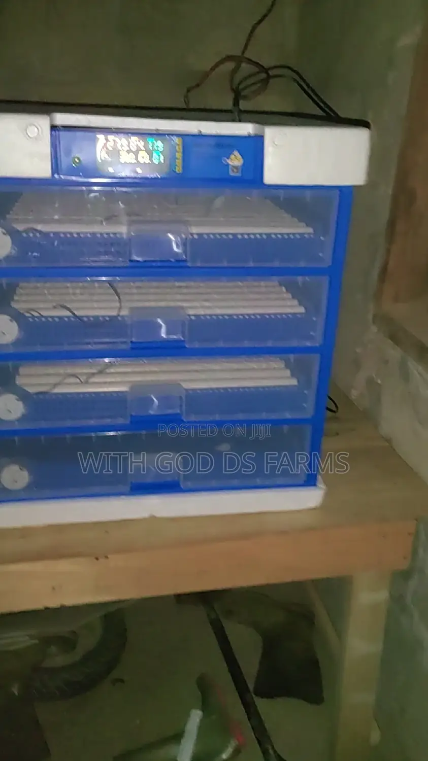 Automatic Egg Incubator Available
