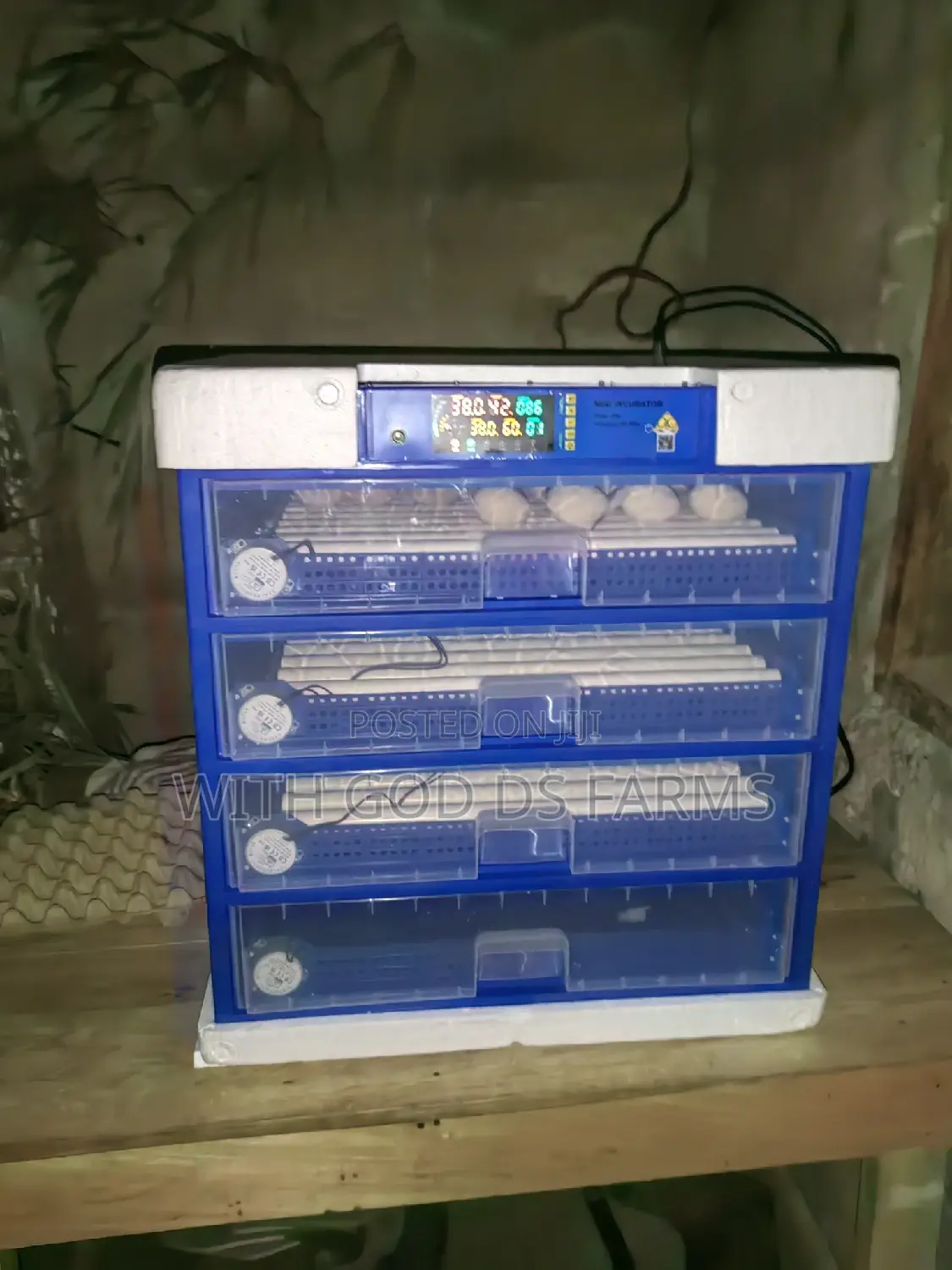 Automatic Egg Incubator Available