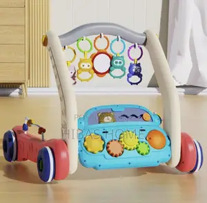 Playmat and Baby Walker Baby Walker Play Gym